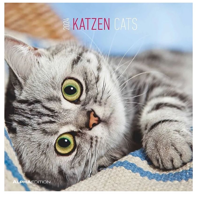 Cats/Katzen-Kalender 2024