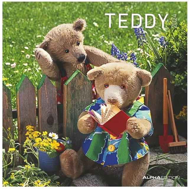 Teddy- Kalender 2024 mit gratis-Poster!