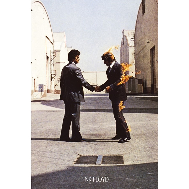 Pink Floyd Poster LP Cover Wish You Were Here