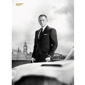 James Bond Skyfall Postcard 10x15 cm